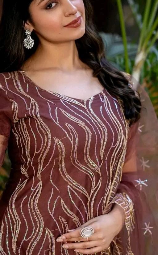 Pakistani brown colour net suit for women