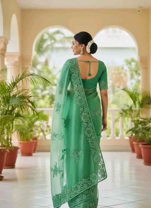 Fancy bollywood net saree