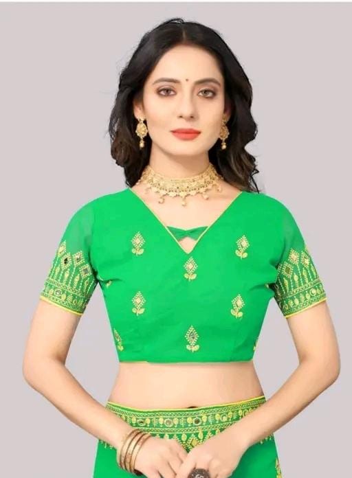 Embroidery mirror saree