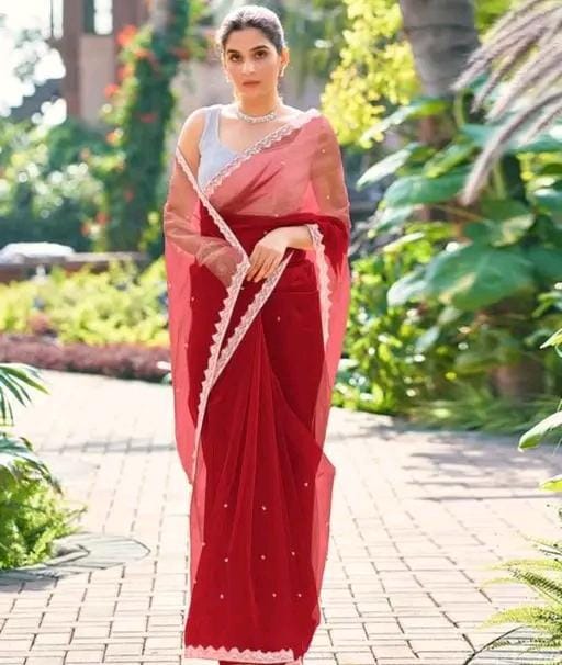 Super net tissue embellished saree lace border