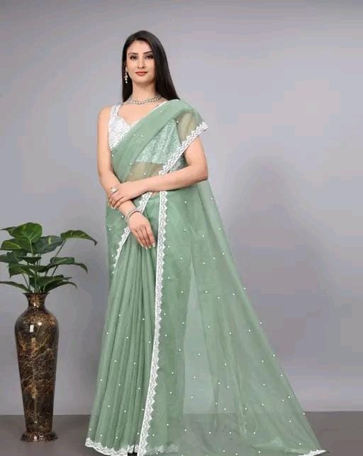 Women fancy supernet beads and stone saree with jackard blouse