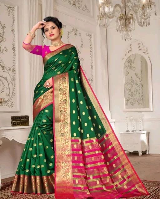 Party wear saree with sparking lace border