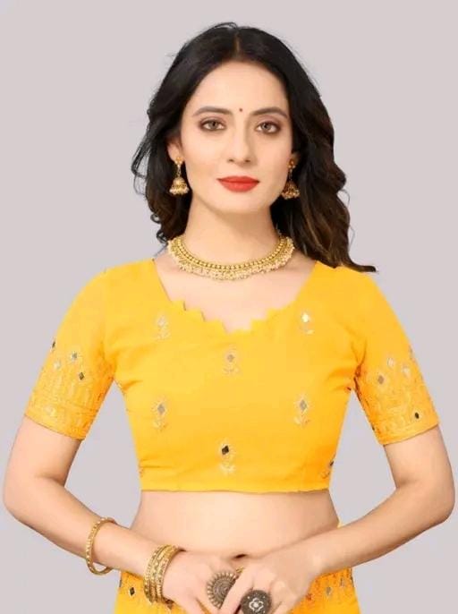 Embroidery mirror saree