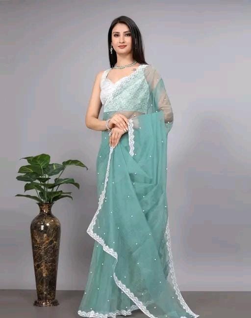 Women fancy supernet beads and stone saree with jackard blouse