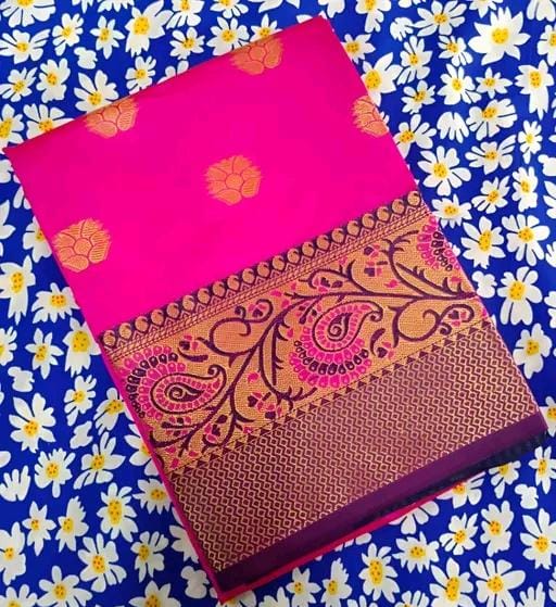 Party wear saree with sparking lace border
