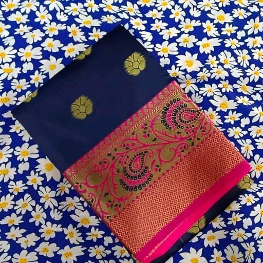 Party wear saree with sparking lace border