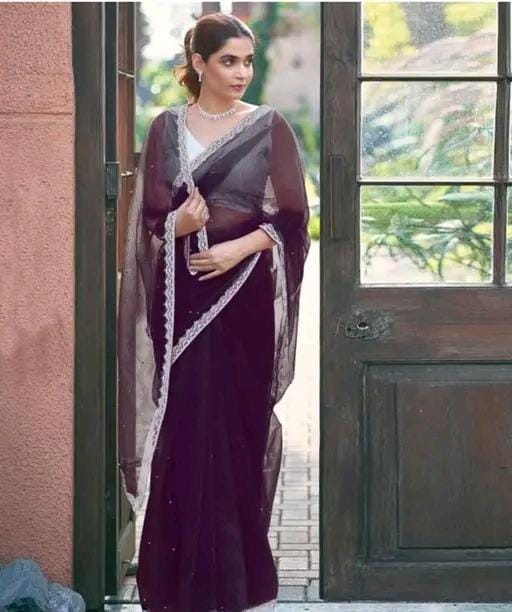 Super net tissue embellished saree lace border