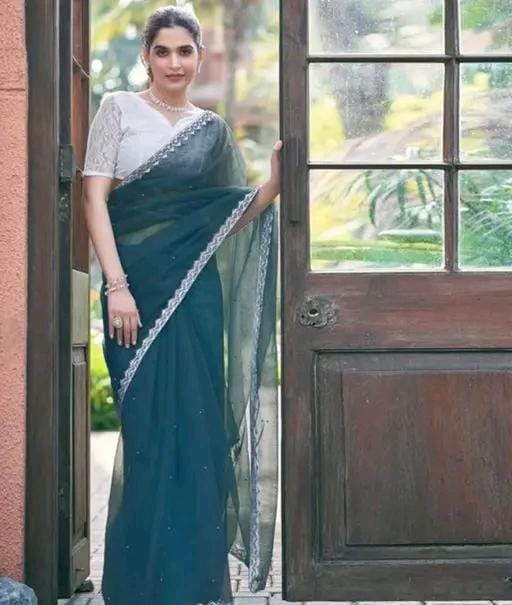 Super net tissue embellished saree lace border