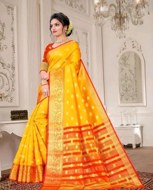 Party wear saree with sparking lace border
