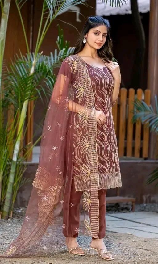 Pakistani brown colour net suit for women