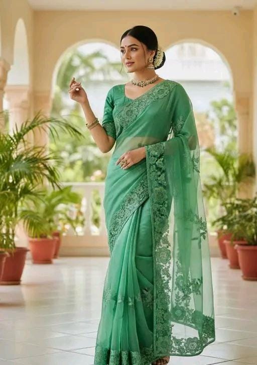 Fancy bollywood net saree