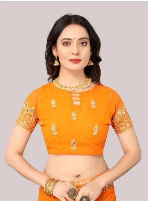 Embroidery mirror saree