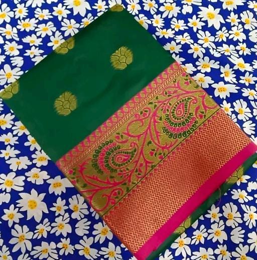 Party wear saree with sparking lace border