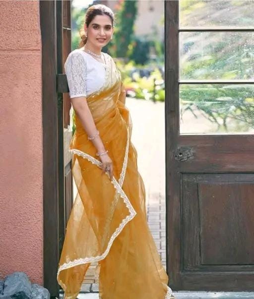 Super net tissue embellished saree lace border