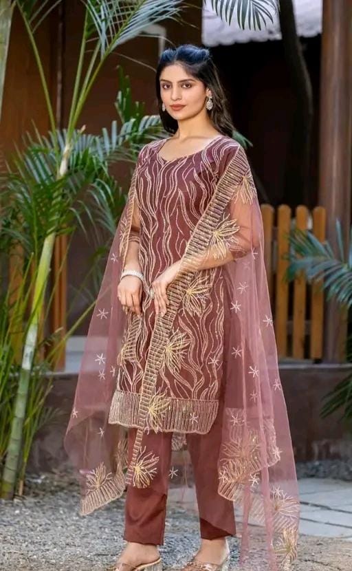 Pakistani brown colour net suit for women