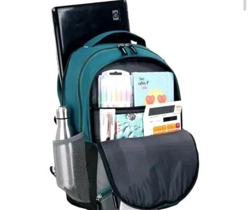 Goergeous fancy women backpacks