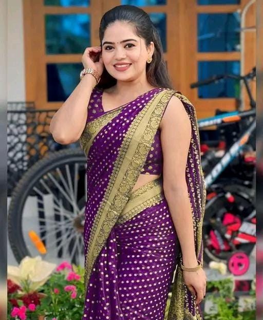 Designer jacquard saree with golden zari blouse