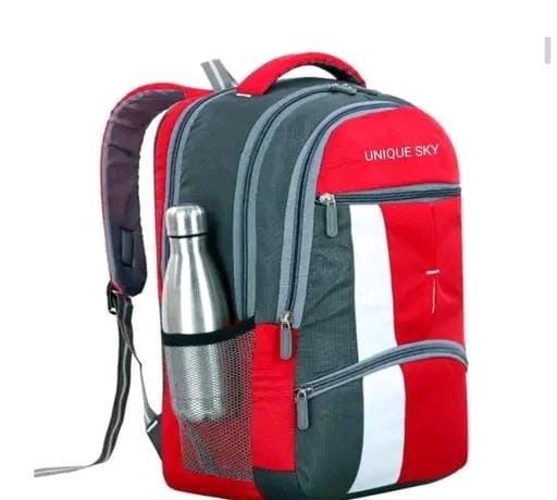 Goergeous fancy women backpacks