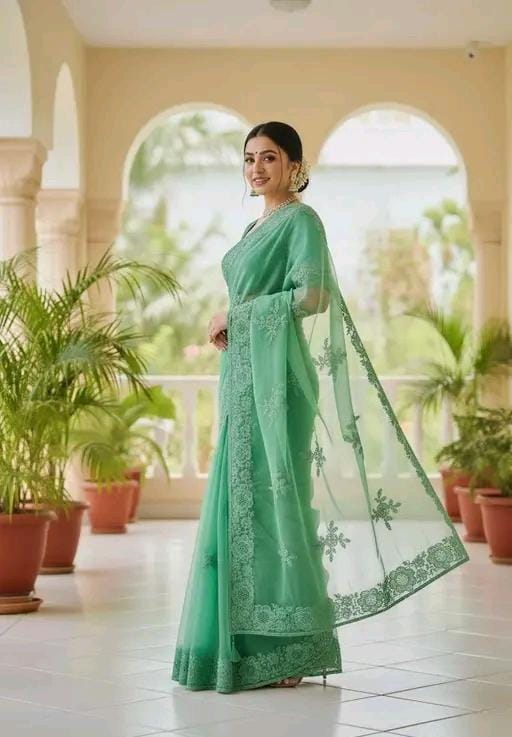 Fancy bollywood net saree